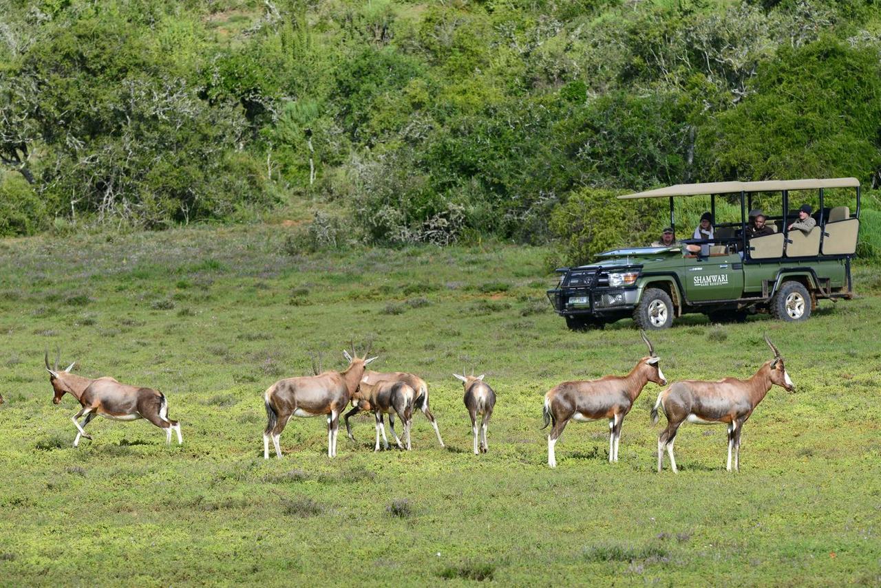 Shamwari Riverdene باترسون المظهر الخارجي الصورة